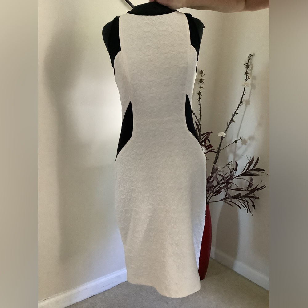 Black & White Floral Pattern Dress
